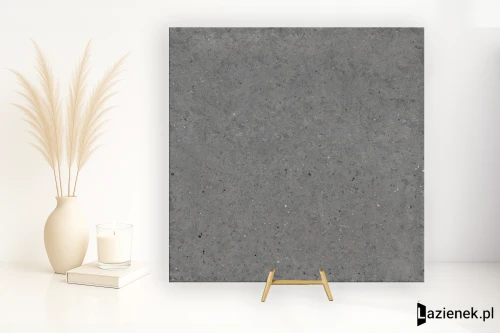 Przejdź do produktu Iris Whole Stone Grey naturalna R10 120x120 cm gr. 9 mm - płytka rektyfikowana / 120718