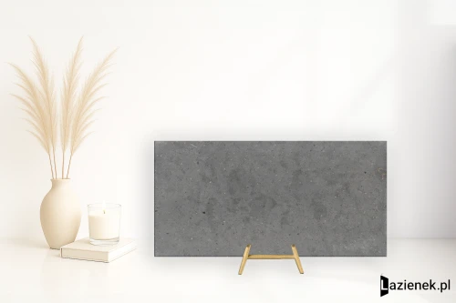 Przejdź do produktu Iris Whole Stone Grey naturalna R10 60x120 cm gr. 9 mm - płytka rektyfikowana / 892718