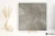 a58126afc7829cfbead06a27cd3752e9