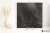 cc89d30850bde3e9b0706ee8cb4ec90c