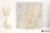 a2adee80ea1ef818c6719a305f2032b5