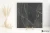 ede04a49fcb285aafb83953fb74e338b