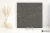 19d91edfa01bacb33c259c66e91803cd
