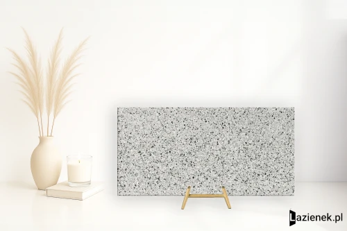 Przejdź do produktu Fmg Rialto Silver polerowana 60x120 cm gr. 10 mm - płytka rektyfikowana / Fmg/L62421