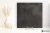 f178df322b0df5b9c802f61502087d50