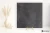 a82e9ff01ecfa69a20f42a0c6306ed79