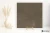 bd5f35f9b22ce32b50abdd583c9d7427