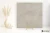 Fmg Urban Active Ivory antybakteryjna 100x100 - płytka imitująca beton
