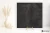a90e09dac65fd4e0a5c825fd298852ff