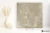 95dd0b2a1960ede70d928c1650a4ba92