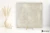 aa02617118bdeb530b9b37beacc0850a