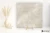 185ea29baad739cb0ec507dd887c2dcb
