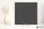04866e17ae502a9dff4396d08ab15621