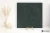 131877bfed5e1f531b7c3d3367d8c1ff