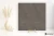 d281828dfcb2dd4ce2f454e164f1d658