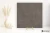 151ba69014df43cf04d02a52ebbd1276