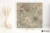 Graniti Fiandre Lexicon Ceppo Aragona naturalna 120x120 - płytka imitująca kamień