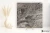ba91b55ad9109e5dc6192e93ad6b94cd