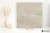 b7933c6f023c8ca42110830bb0547dba