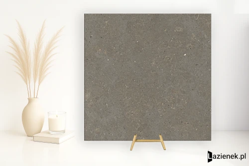 Przejdź do produktu Graniti Fiandre Solida Grey płomieniowana 60x60 cm gr. 8 mm - płytka rektyfikowana / AP256X860