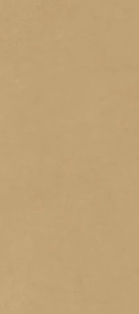 2d1e3316ade1ac4ea7d194d5aa887aa5