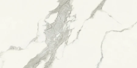 07319bdf0fb04dc091c9e0975e4b72d6