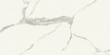 3cc05f6611efdf483bd2c7f60a46b8b2