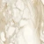 419b725ac57ae5f9a7d1acece49b519d