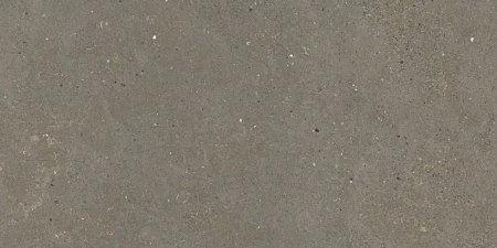 11a88159d1f3dd2d254e55bbb805ae5e
