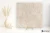 579eb6de81ec86f8f26fc0c84a495efa