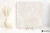 Novabell Extra Pulpis Beige szlifowana 60x60 - płytka imitująca marmur