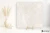 Novabell Extra Pulpis Beige naturalna 60x60 - płytka imitująca marmur