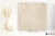 Novabell Landstone Clay zewnętrzna 100x100 - płytka imitująca kamień