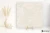 Novabell Landstone Raw White naturalna 100x100 - płytka imitująca kamień