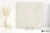 Novabell Lounge Ivory naturalna 60x60 - płytka imitująca kamień