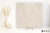 Novabell Norgestone Ivory naturalna 60x60 - płytka imitująca kamień