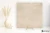 Novabell Open Beige antypoślizgowa 60x60 - płytka imitująca beton