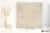 Novabell Open Beige naturalna 120x120 - płytka imitująca beton