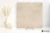 Novabell Open Beige naturalna 60x60 - płytka imitująca beton