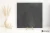 331525c36947e68c449e91999020eb0c