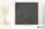 c0bf4f7d35734b2262235cb722e521a1