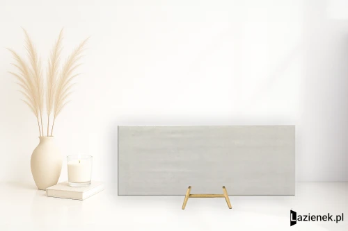 Przejdź do produktu Ape Arts Grey matowa 20x50 cm gr. 10 mm - płytka nierektyfikowana / A035224