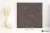 7c7c01364bdd5c3dc4569c326fa538ef