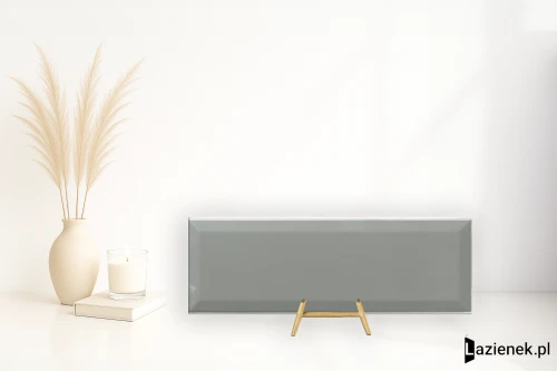 Przejdź do produktu Ape Loft Plata błyszcząca 10x30 cm gr. 10 mm - płytka nierektyfikowana / A015966