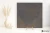 2e30d1cf6c1dec751c0434f68362e7e6