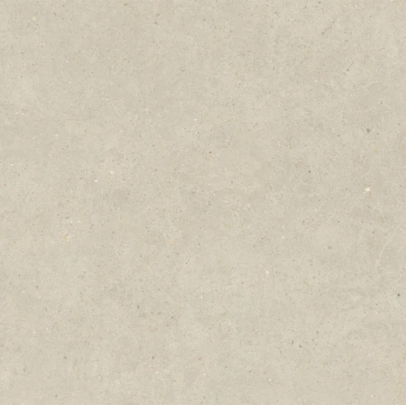 e8c6300f17778e3c3a5dc70f824a1009
