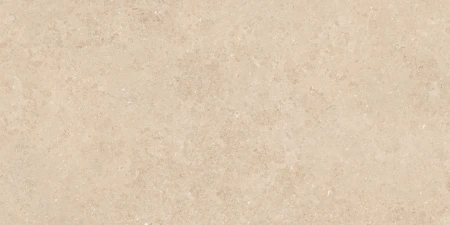 2b4501336feb53c5630c764554d8c316