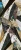 9c12da90683a06db2049e55067015b0a