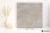 Lea Concreto Light naturalna 120x120 - płytka imitująca kamień