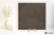 Lea Masterpiece Master Brown naturalna 120x120 - płytka imitująca kamień